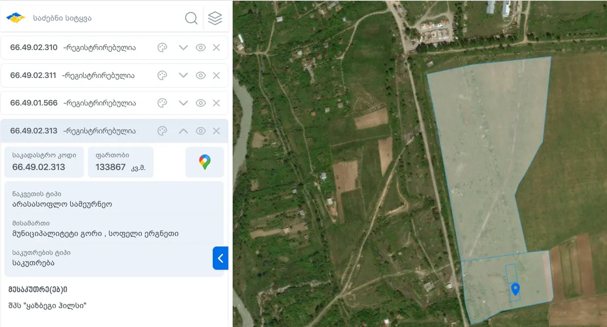 Land belonging to Giorgi Jalabadze's company in Ergneti. Source: Public Registry