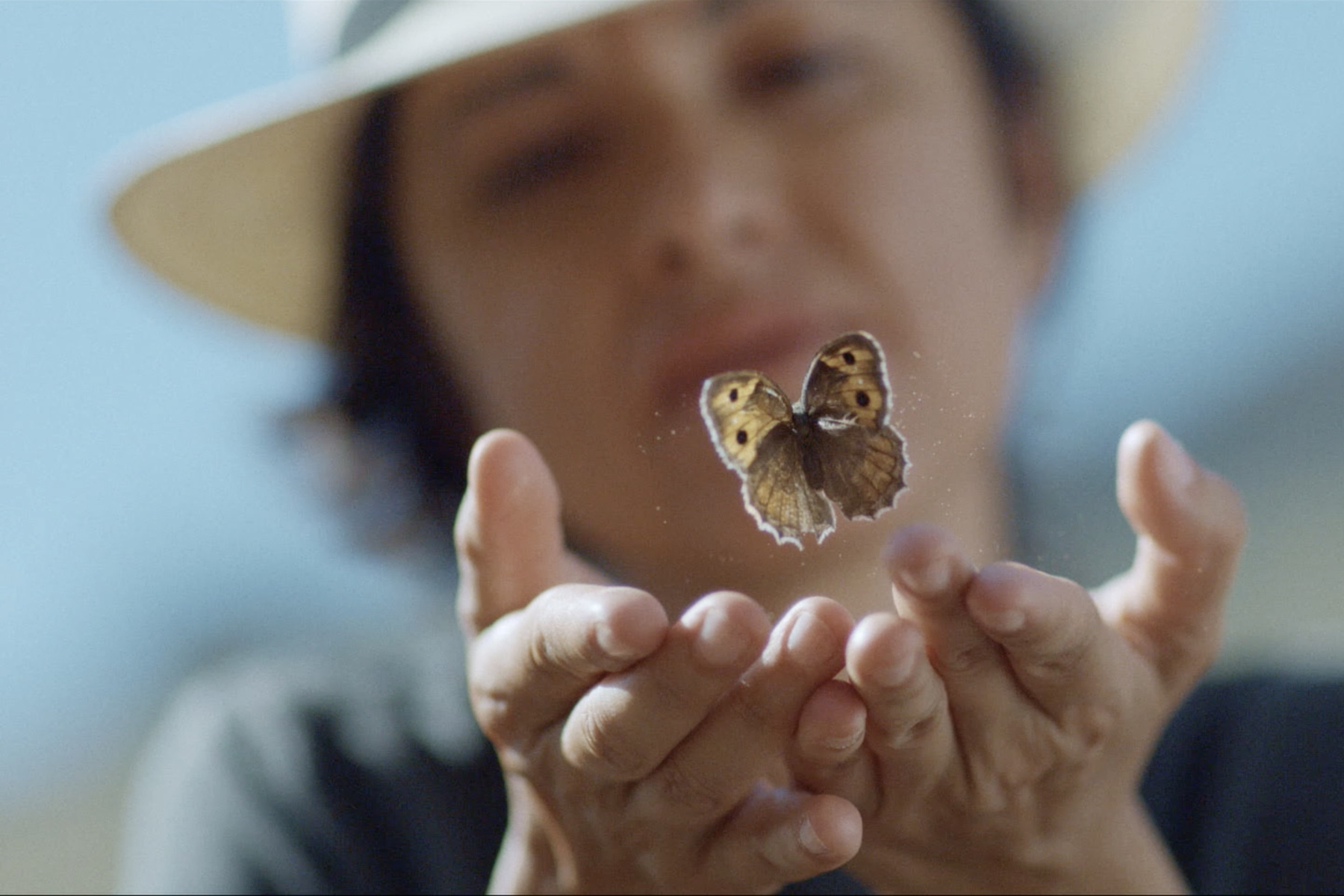 Review | Searching for Satyrus — butterflies, family secrets, and cross-border collaboration