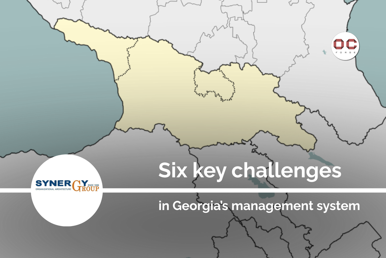Six key challenges in Georgia’s management system