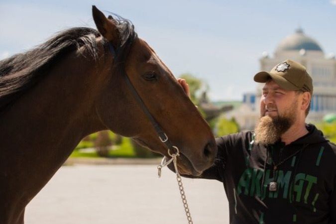 Czechia concludes Kadyrov’s horse likely returned to Chechnya in breach of sanctions