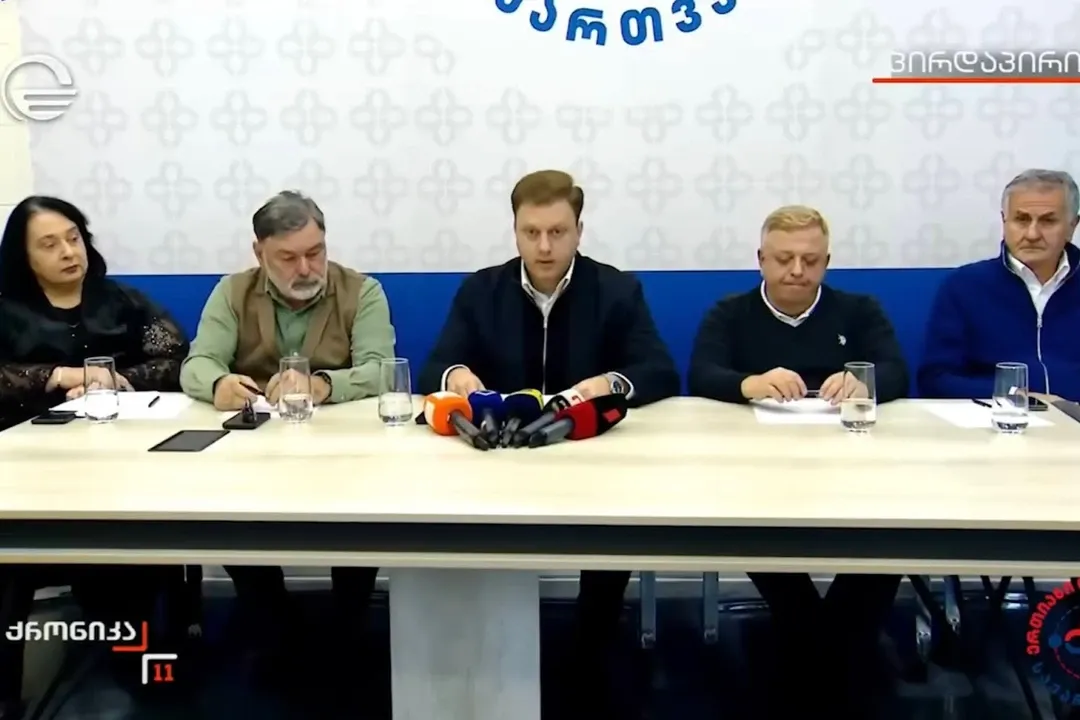 Georgian Dream satellite calls for EU integration debate