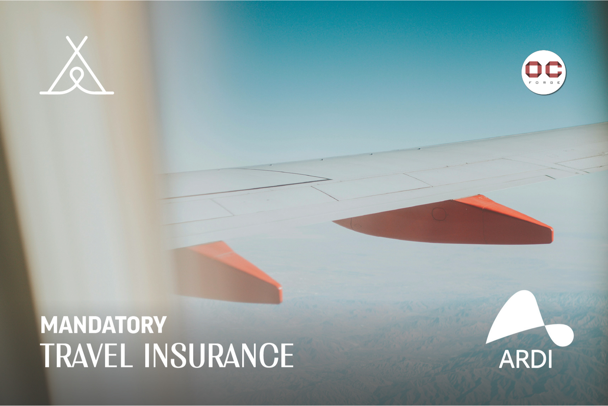 As Georgia introduces mandatory travel insurance, ARDI emerges as a leading provider for visitors and expats