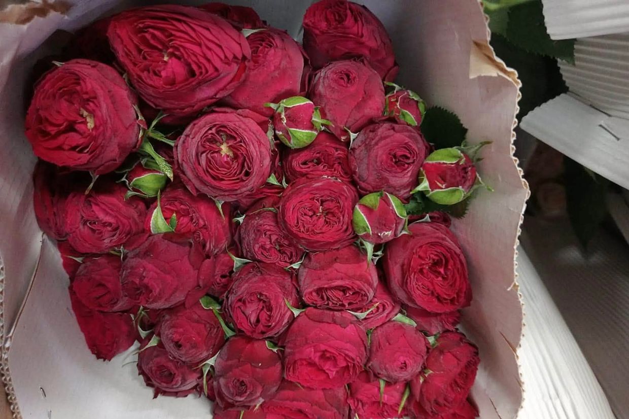 Armenia exports first batch of flowers to UAE amidst Russian trade restrictions