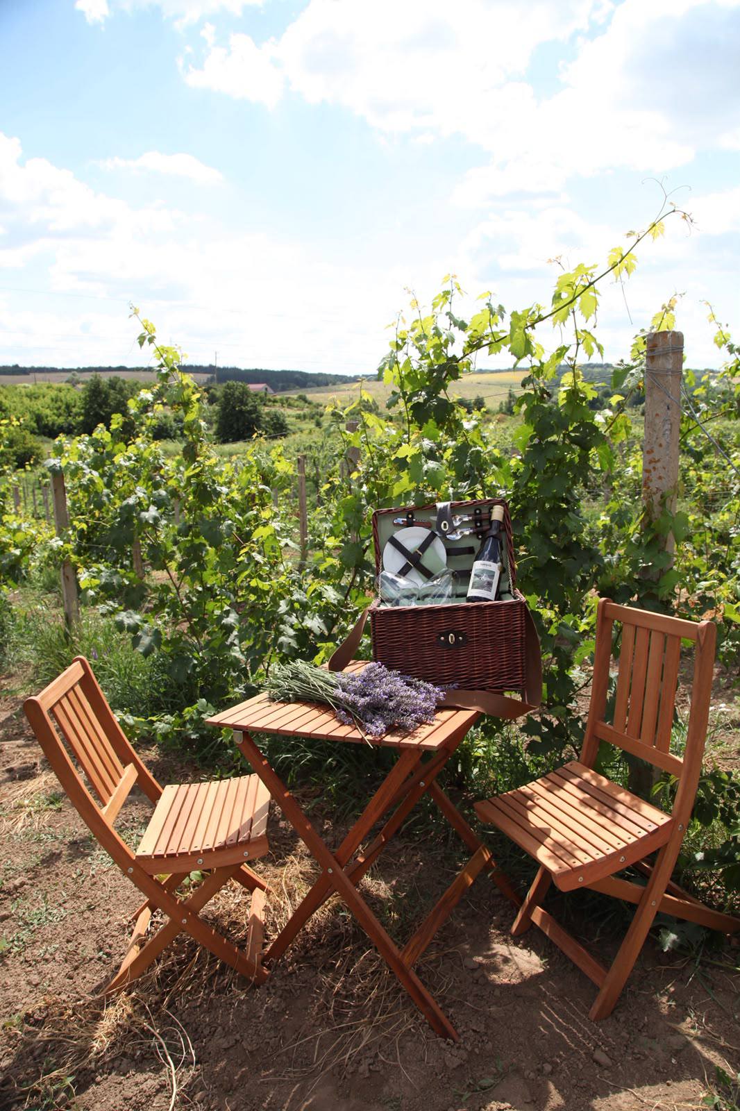 Пляшки українського вина виробництва Lehlych Winery.