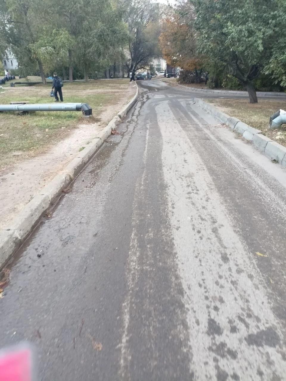 Мокра дорога з потоками рідини вздовж узбіччя та деревами обабіч.